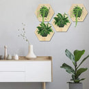 Hexagonal Wooden Wall Planter, Self Watering Living Vertical Planters Indoor, Wooden Frame Planter Wall Decoration Home Office 2pc by CozyNest Decor