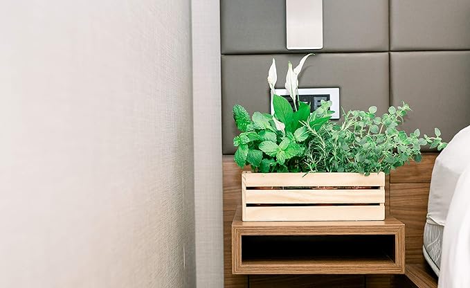 Wood Planter Box with Wine Crate Styled, 12x4 Inch Rectangular, Rose Wood, Plastic Liner, Garden Centerpiece Display, Wedding Flowers Holder, Home and Venue Decor (12x4 Wine Crate Set of 4, Rose Wood), photo 6 of 10