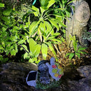 Garden Statue Turtle with Solar Spot Lights Outdoor Waterproof, Solar Figurines Turtle Light for Outside Pathway, Patio, Yard, Lawn, Porch, Home Decoration, Unique Gift. by GreenHaven Gardens