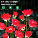 Solar Garden Lights, Solar Outdoor Lights with More Realistic 10 Rose Waterproof Solar Powered Flowers for Outside Patio Yard Pathway Decorations, 2 Pack Red by GreenHaven Gardens
