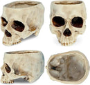 READAEER Skull Planter with Drain Hole, Resin Skull Shaped Flower Pot Candy Bowl, Gothic Decoration for Home Office Desk- White by CozyNest Decor