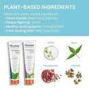 Himalaya Botanique Complete Care Toothpaste, Herbal, Variety Pack, Mint and Spearmint Flavor, Fights Plaque, Freshens Breath, Fluoride Free, No Artificial Flavors, SLS Free, Cruelty Free, 5.29 Oz by CozyNest Decor