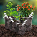 Bonviee Clear Nursery Pots for Plants, 6.7/5/4/3.5 Inch Reinforced Clear Nursery Pots with Drainage Hole, 36 Packs Transparent Plastic Plant Pot Seedling Planter Seed Starter Flower by GreenHaven Gardens