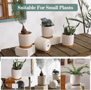 TAMAYKIM 4 Inch Ceramic Plant Pots with Drainage Holes, Modern Flower Planter with Saucer for Indoor Plants, Succulent, Cactus & Herbs, White, Set of 4 (Plants Not Included) by CozyNest Decor