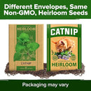 HOME GROWN Catnip Seeds (2 Pack) 𝗡𝗢𝗡-𝗚𝗠𝗢, 𝗨𝗦𝗔-𝗦𝗢𝗨𝗥𝗖𝗘𝗗 Heirloom Herb 4232 Seeds - Indoor or Outdoor Seed - High-Germination Cat Nip - Cat Safe Plants (Nepeta cataria) by GreenHaven Gardens