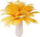 THARAHT Golden Yellow Ostrich Feathers 24pcs Natural Bulk 8-10Inch 20cm-25cm for Crafts Wedding Party Centerpieces Halloween and Home Decoration Feathers by CozyNest Decor