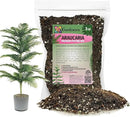 Premium Araucaria Potting Soil Mix - Perfect Balance of Nutrients, Drainage, and Aeration for Healthy Araucaria Trees - 3 Quart by GreenHaven Gardens