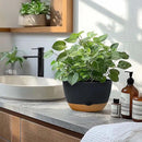 8 Inch Pots for Indoor Plants, Self Watering Planters with Drainage and Saucers, Plastic Outdoor Flower Pot, Set of 2, Grey by GreenHaven Gardens