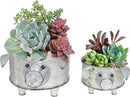 Galvanized Metal Pig Succulent Planter Farmhouse Pig Shaped Bowl Metal Pig Tray Rustic Decor Set of 2 by GreenHaven Gardens