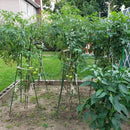 Garden Plant Stakes 57 Inch (Approx 5Ft) Steel Plant Stick Support, 25 Pack Tomato Stakes for Growing Climbing Plants, Potted Plants, Tomatoes, Trees, Cucumber, Beans, Fences Poles by CozyNest Decor