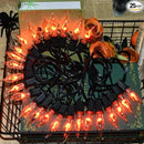 27.8Ft Halloween Decorations Flickering Flame String Lights with 29 Pack Clear Glass Flame Light Bulbs (4 Spare), E12 Base, Great for Christmas Halloween Indoor Outdoor Home Party Decor, Black Wire by GreenHaven Gardens