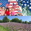12 Pack 12x18 Inch American Flags for Outside, US Flags with Kid-Safe Spear Top ,American Flags on Stick, Patriotic Decorations,Perfect for Flag Day, Memorial Day, Independence Day Patriotic Holiday Yard Garden Flags by GreenHaven Gardens