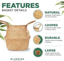 Tree Basket – Wicker Seagrass Planter for Tall Indoor Fake Olive House Plants, Decorative Rattan Baskets for 7-8 Inch Small Plant Pots (Original, Medium) by GreenHaven Gardens