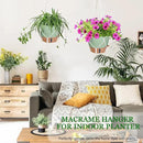 10 Inch Hanging Planters for Indoor Plants, 2 Pack Self Watering Hanging Baskets Flower Pots with Drainage Hole, Visual Reservoir & 2 Kinds of Plant Hanger for Outdoor Garden Home Decor by GreenHaven Gardens