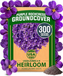 HOME GROWN 𝗨𝗦𝗔 𝗣𝗥𝗘𝗠𝗜𝗨𝗠 Aubrieta Rock Cress Purple, Flowering Ground Cover Seed Pack, Perennial Cress Seeds for Planting Outdoor Lawn Gardens 300 𝗡𝗢𝗡-𝗚𝗠𝗢 Aubrieta deltoidea Flower Seeds by GreenHaven Gardens