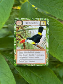 Ecologies: Hidden Habitats - Use Science to Build Food Webs in 7 Biomes - Beautiful Vintage Nature Art for The Classroom or Game Night by TinyTreasures Baby Boutique