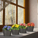 Quarut 4 Pack 6 Inch Flower Pots for Outdoor Indoor, Plastic Plant Pots with Drainage Hole & Saucer, Lightweight Small Flower Pot, Circle Pattern Planters for Garden House planters（Black Copper） by CozyNest Decor