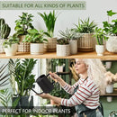 Plant Watering Can,35oz Metal Watering Can,Stainless Steel Watering Can Indoor Plants with Long Curved Spout,Small Watering Can for Indoor Plants,Bonsai Outdoor Garden Modern Decorative(Black) by GreenHaven Gardens