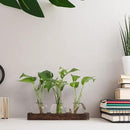 YIBOT Propagation Stations,Plant Propagation Vase,Desk Plant Terrarium with Retro Wooden Stand,Plant Lover Gifts for Women for Hydroponics Plants Home Garden Wedding Decor(3 Vase) by CozyNest Decor