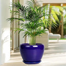 Ceramic Plant Pot 8 Inch - Planter for Outdoor Plants Indoor Plant Pot with Drainage Hole and Saucer Decorative Round Planter Modern Flower Pot for House Decor Blue by GreenHaven Gardens