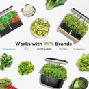 inbloom Salad Green Seed Pod Kit for AeroGarden, Ahopegarden, GARDENCUBE, MUFGA, 12 Pods (350+ Seeds with American Fast/Paris Island/Buttercrunch Lettuce, Swiss Chard, Spinach, Cauliflower, Cabbage) by GreenHaven Gardens