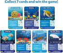 Skillmatics Guess in 10 Underwater Animals, Perfect for Boys, Girls, Kids, and Families Who Love Card Games, Toys, Board Games, Gifts for Ages 8, 9, 10 and Up by TinyTreasures Baby Boutique