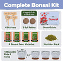 HOME GROWN Bonsai Tree Kit - Premium Ceramic Starter Kit - 4 Variety of Bonsai - Unique Gift for Men and Women Gardeners by GreenHaven Gardens