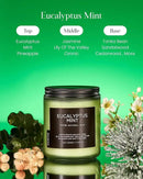 M&SENSE Eucalyptus & Mint Candles for Home Scented, Clean Non Toxic Aromatherapy Candle Gift 7.05oz 50 Hours Burn for Stress Relief Meditation Yoga Relaxing SPA by CozyNest Decor