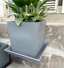 Square Plant Saucer 14 Inch 5 Pack，Plant Stand Plant Trays for Pots Heavy Duty Gray Plastic Plant Saucers for Indoors Outdoors, Flower Pot No Holes Plant Lover Gardening Gifts by GreenHaven Gardens