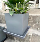 Square Plant Saucer 18 Inch 2 Pack, Large Plant Trays for Pots Heavy Duty Gray Plastic Plant Saucers for Indoors Outdoors, Flower Pot Plant Drip Trays No Holes Plant Lover Gardening Gifts by GreenHaven Gardens