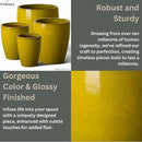 Emissary Home and Garden Bullet 11.5 in. Mustard Yellow Ceramic Round Planter (11.5 in. L x 11.5 in. W x 14 in. H) with Drainage Hole by CozyNest Decor