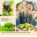 Hydroponic Growing System,Hydroponic Vertical Garden,Indoor Smart hydroponic Vegetable System, 30 Pods,Plant Germination kit with Pump System, Auto Timer, Beginner kit by GreenHaven Gardens