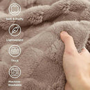 Bedsure GentleSoft California King Blanket for Bed - Super Soft Cozy Blankets for Women Men Girls, Large Fuzzy Fleece Throw for Bedroom Decor, Light Taupe, 102x96 Inches by CozyNest Decor