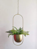 Boho Gold Metal Plant Hanger,Metal Wall and Ceiling Hanging Planter, Modern Planter, Mid Century Flower Pot Plant Holder, Minimalist Planter for Indoor Outdoor Home Decor by GreenHaven Gardens
