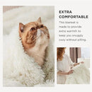 Bedsure GentleSoft Fuzzy Sherpa Faux Fur Twin Blanket Cream Cozy Gifts for Women, Soft Fleece Plush Warm Minky Thick Blanket Twin Size for Bed, Couch, Room Dorm Essentials Cream Decor Gifts, 60x80 by CozyNest Decor
