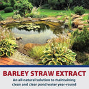 The Pond Guy Barley Extract Natural Liquid Treatment for Ponds and Water Gardens, Safe for Koi Fish and Plants, Natural Solutions for Clear Pond Water - 16 Ounces by GreenHaven Gardens