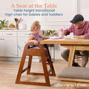 ECR4Kids ASATT Highchair, Toddler Chair, Dark Walnut by TinyTreasures Baby Boutique