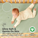 Waterproof Crib Mattress Protector Cover Fitted - 2-Pack Quiet Baby Crib Mattress Pad Sheets, 52" x 28" Soft Quilted Cotton Baby Sheet, Machine Washable, Easy Fit, Durable (Soft Fern/Quin) by TinyTreasures Baby Boutique