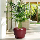 Ceramic Planter - 8 Inch Plant Pot Indoor with Drainage Hole and Saucer Planter for Outdoor Plants Round Flower Pot for House Patio Decor Red by GreenHaven Gardens