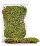 Preserved Sheet Moss in Natural Green | Decorative Real Natural Green DIY Kit Terrariums Gardenning Art Wall Decor Florist Decor Easter Table Decor Wedding - 2 Quart by GreenHaven Gardens