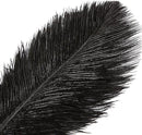 THARAHT Black Ostrich Feathers 12pcs Large Natural Bulk 20-22Inch 50cm-55cm for Wedding Party Centerpieces Halloween and Home Decoration Feathers by CozyNest Decor