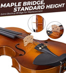 Vangoa Violin 1/2 Size Set Fiddle, Handcrafted Half Size Starter Acoustic Violins Kit with Solid Wood Side Board, Lightweight Hard Case for Beginners Learners, Children, Kids, Adults, Right Handed by TinyTreasures Baby Boutique