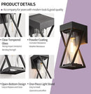 Outdoor Wall Lights Set of 2, Exterior Sconce Lighting Fixtures, Black Outdoor Porch Lights, Outdoor Wall Lantern with Clear Stripe Glass for Patio, Garage by GreenHaven Gardens