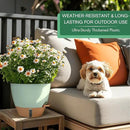 montresor 2 Pack 10 inch Plant Pots, PP Plastic Self Watering Planter with Drainage and Tray for Indoor Outdoor Plants, Water Level Window & Reservoir Flower Pots Decorative Planter (Green) by CozyNest Decor