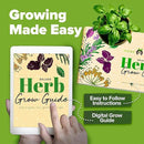HOME GROWN Indoor Herb Garden Kit w/Glazed Ceramic Pot - Easy-to-Grow Kitchen Window Gardening Starter Set - Unique Housewarming Gift for Women, Mom, Gardeners, Friend, Her, Mother by GreenHaven Gardens
