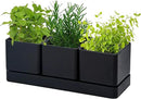D'vine Dev Herb Garden Planter Set, Plastic Plant Pots with Drainage and Saucer, Indoor Succulent Cactus Vegetable Pot for Windowsill, Garden Balcony, Black, Set of 1, 76-V-B-1 by GreenHaven Gardens