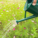 Metal Watering Can for Outdoor and Indoor Plants, Watering Can Decor, 1 Gallon (NewGreen) by GreenHaven Gardens