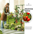 KING BIRD Raised Garden Bed with Wall Trellis Galvanized Planter Garden Box Outdoor for Gardening, Climbing Vegetables, Flowers 5.9x2.95x0.98 Ft, Silver by GreenHaven Gardens