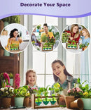 Nacome Plant Terrarium for Office Decor: Birthday Gifts for Plant Lovers Women Mom Wife - Wooden Stand Tabletop Planter 3 Bulb Glass Vase Heart Shaped for Hydroponics Indoor Home(Green) by GreenHaven Gardens