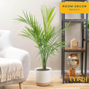 Costa Farms Majesty Palm Live Plant, Live Indoor and Outdoor Palm Tree, Potted in Modern Décor Planter, Tropical Floor Houseplant in Potting Soil, Great Patio, Balcony, Home Decor, 3-4 Feet Tall by GreenHaven Gardens